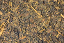 Dry Leaves Texture