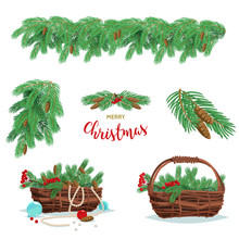 Set Of Basket Of Fir Spruce Branches, Berries And Cones Isolated On White Background. Vector Stock Illustration.