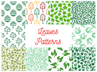 Poster - Leaves seamless pattern set for nature design