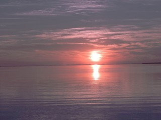  lavender sunrise