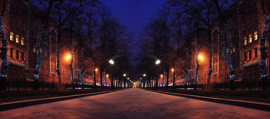 Wall Mural - Night winter landscape in amazing city