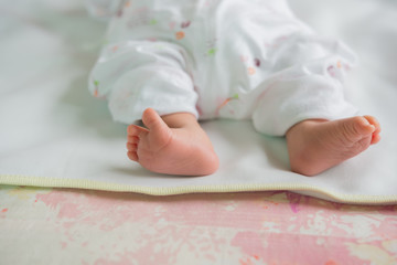 Wall Mural - top view newborn baby feet on a carpet