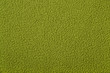 Green polar fleece background texture
