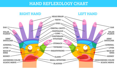 Sticker - Hand Reflexology Chart