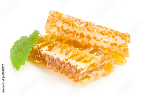 Honey bee isolated on a white background cutout Poster