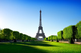 Fototapeta Boho - Eiffel Tower and Champ de Mars