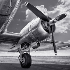 Wall Mural - propeller of an aircraft