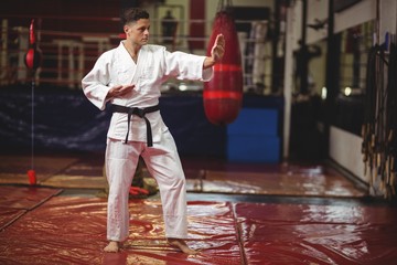 Karate player performing karate stance