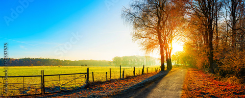 Fotografía Landschaft im Herbst, Straße neben eine Weide bei Sonnenaufgang