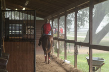 Exercise Riders Take Their Young Thoroughbreds To Track For Early Morning Workout.