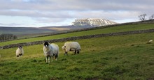 Snow On Pen-y-ghent