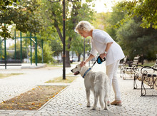 Senior Woman Walking With Dog In Park