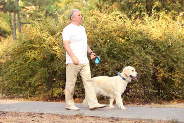 Wall Mural - Senior man and big dog walking in park