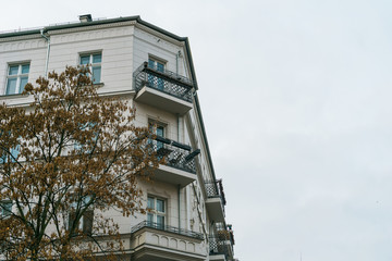 white corner house with autumn tree