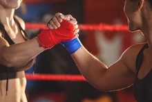 Two Female Boxers Greeting Each Other In The Ring