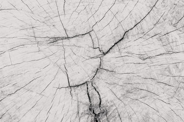 Crack wood line background.