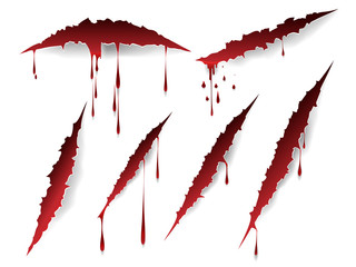 Wall Mural - vector bloody scratches and blood drops isolated on white background