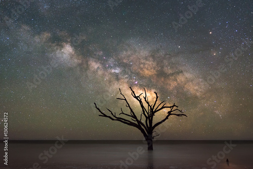 Plakat Botany Bay Beach under the Milky Way Galaxy