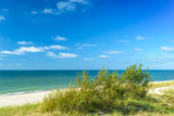 Fototapeta Morze - The sandy beach on the coast of the Baltic Sea