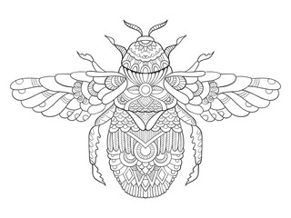 Bumblebee coloring book for adults vector