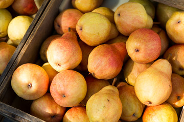 Canvas Print - Stack of pear