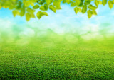Fototapeta Perspektywa 3d - spring grass background