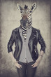 Zebra in clothes. Concept graphic in vintage style.
