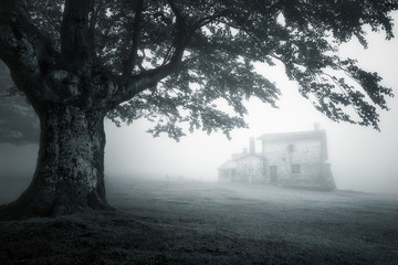 mysterious house in foggy forest