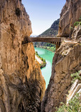 Fototapeta Zwierzęta - skały Andaluzja Hiszpania
