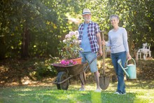 Senior Couple Gardening In The Garden