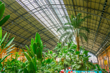 Tropical Green House, Located In The Atocha Railway Station In Madrid.