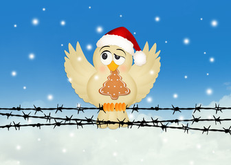 Poster - bird with Christmas cookie