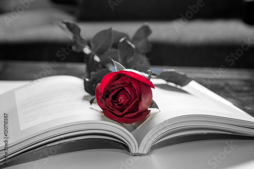 Naklejka na meble Czarno-białe zdjęcie książki i czerwonej róży