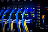 Fototapeta  - the switch led and Networking Server telecom, Network, Fiber Network Server,Room network cable to connect computer firewall information, technology installed in a network cable, rack-mounted.