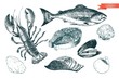 Vector hand drawn set of seafood icons. Lobster, salmon, fillet and clams. Engraved art. Delicious food menu objects.