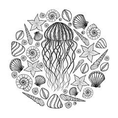 jellyfish and shells in line art style. hand drawn vector illust