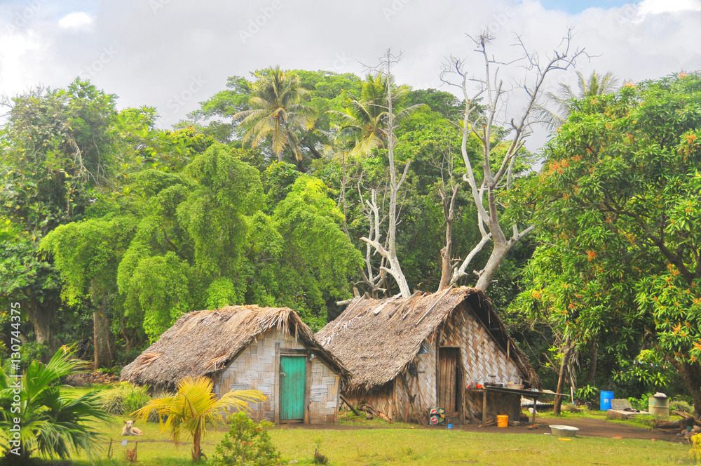 Tradycyjna wioska na wyspie Efate w państwie Vanuatu
 - obrazy, fototapety, plakaty 