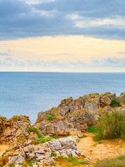 Wall Mural - Portugal ocean shore