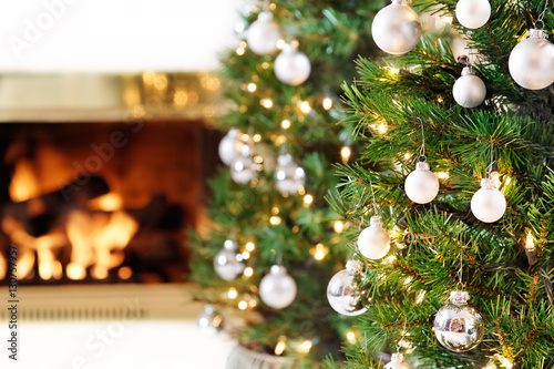 Fotografie, Obraz White Christmas