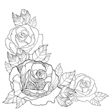 Vector Illustration With Outline Rose Flower And Foliage Isolated On White Background. Floral Elements With Roses And Leaves In Contour Style For Summer Design And Coloring Book. Corner Composition.