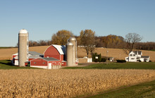 Rural Dairy Farm