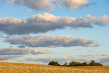 Field And Clouds