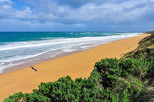 Warrnambool Beach On The Great Ocean Road, Australia