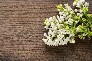  White lilac on wooden background