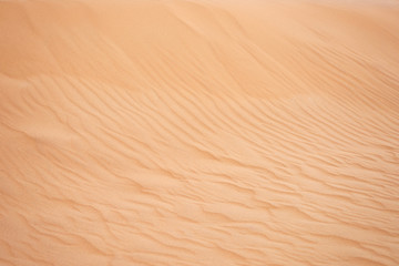 Canvas Print - sand background