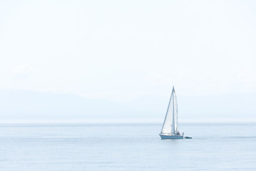  Orca Whales Tour