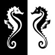 white and black seahorses reflection icon vector