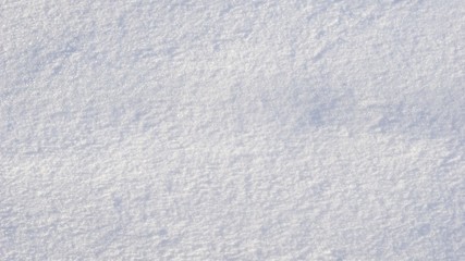 Wall Mural - white glitter snow texture background