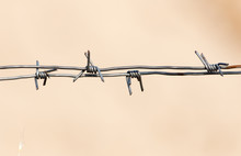 Barbed Wire On Nature