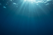 Underwater Background In Sea